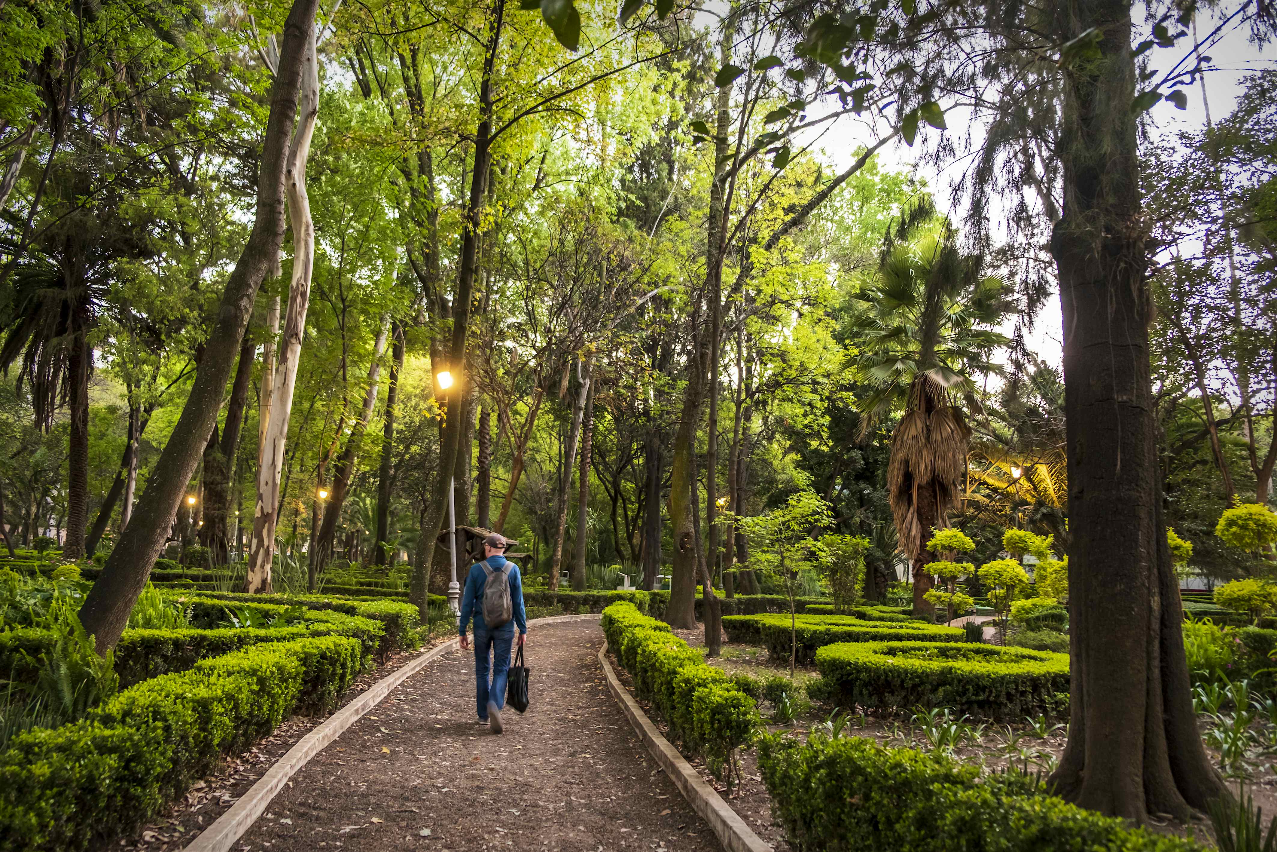 mexico city parks to visit